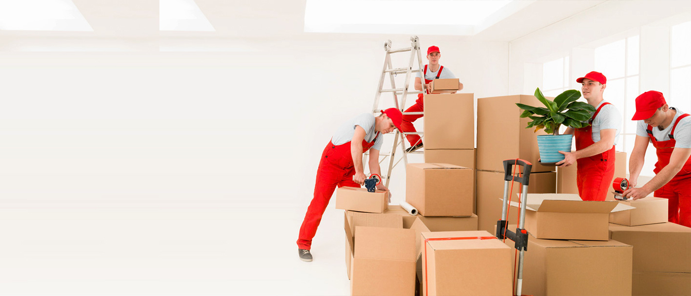 Yalova Evden Eve Nakliyat